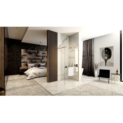 Dušo siena Aero Gold N 110 Walk In + EVO 6 Dušo siena Aero Gold N 110 Walk In + EVO 6