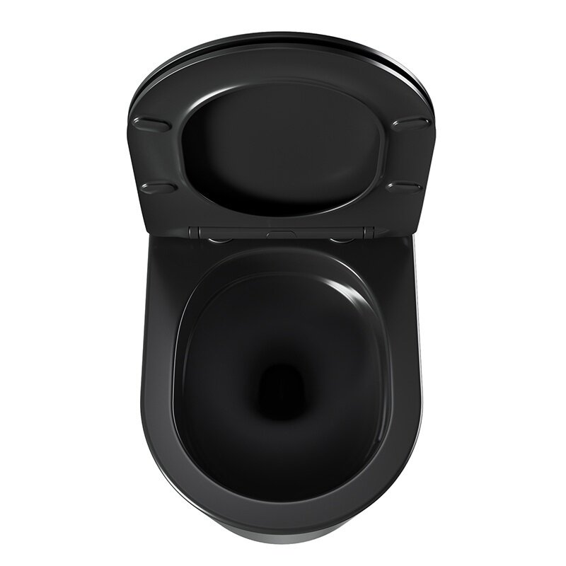 WC KOMPLEKTAS SU POTINKINIU RĖMU IR MYGTUKU WC456 11