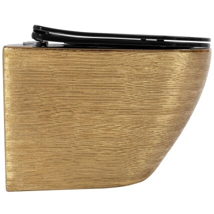 Klozetas pakabinamas Carlo Flat Brush Gold 2