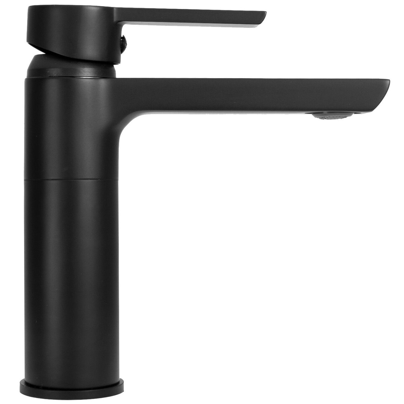 Kriauklės maišytuvas Argus Black Low 1