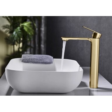 Kriauklės maišytuvas Urban Gold High
