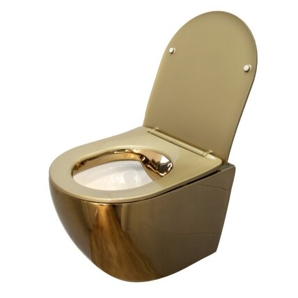 WC KOMPLEKTAS SU POTINKINIU RĖMU IR MYGTUKU WC418 8