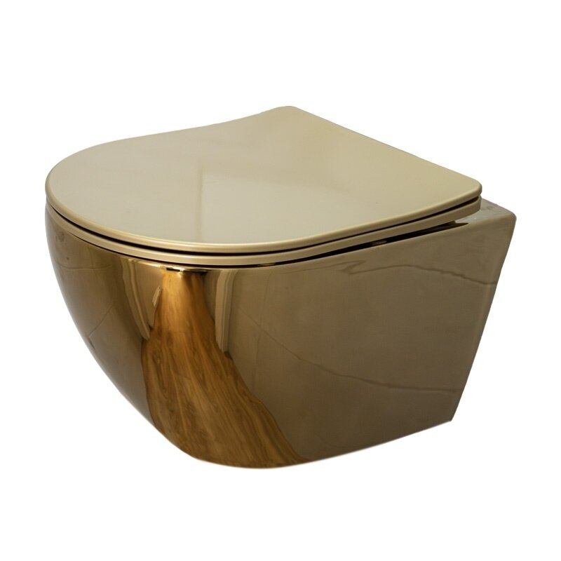 WC KOMPLEKTAS SU POTINKINIU RĖMU IR MYGTUKU WC420 5 WC KOMPLEKTAS SU POTINKINIU RĖMU IR MYGTUKU WC420 5