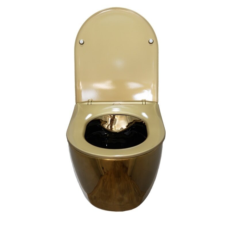 WC KOMPLEKTAS SU POTINKINIU RĖMU IR MYGTUKU WC420 7 WC KOMPLEKTAS SU POTINKINIU RĖMU IR MYGTUKU WC420 7