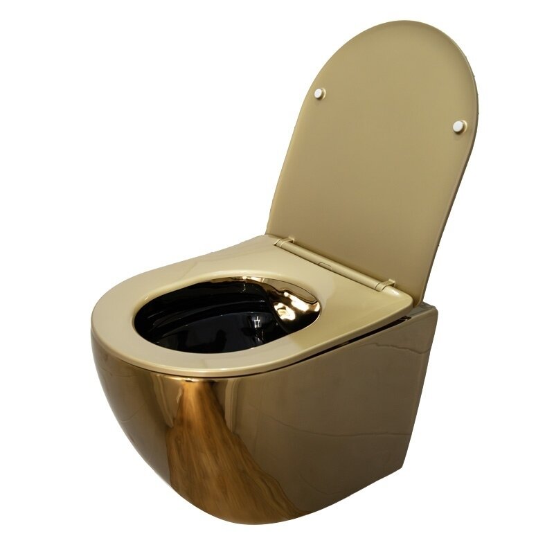 WC KOMPLEKTAS SU POTINKINIU RĖMU IR MYGTUKU WC420 8 WC KOMPLEKTAS SU POTINKINIU RĖMU IR MYGTUKU WC420 8