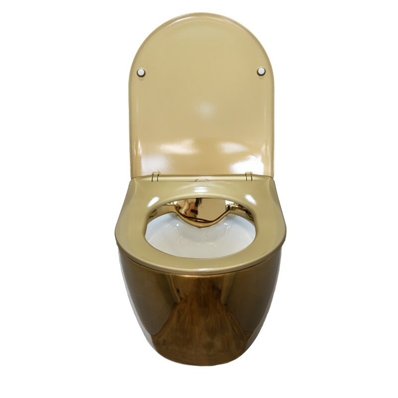 WC KOMPLEKTAS SU POTINKINIU RĖMU IR MYGTUKU WC418 7