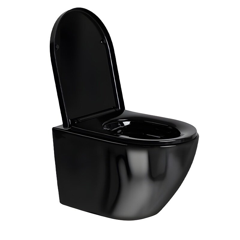 WC KOMPLEKTAS SU POTINKINIU RĖMU IR MYGTUKU WC474 6