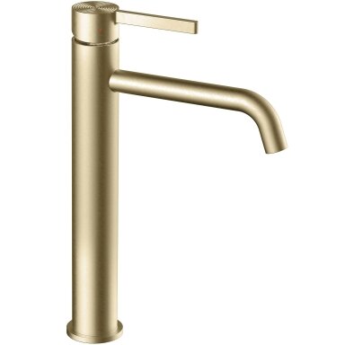 PLAUTUVĖS MAIŠYTUVAS Foster Brush Gold High