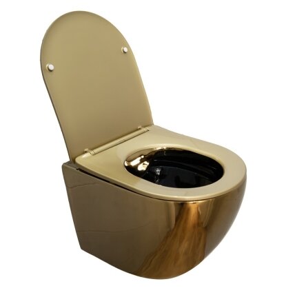 WC KOMPLEKTAS SU POTINKINIU RĖMU IR MYGTUKU WC421 6 WC KOMPLEKTAS SU POTINKINIU RĖMU IR MYGTUKU WC421 6