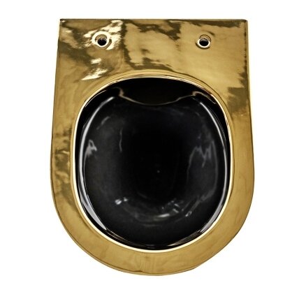 WC KOMPLEKTAS SU POTINKINIU RĖMU IR MYGTUKU WC421 9