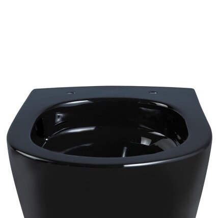 WC KOMPLEKTAS SU POTINKINIU RĖMU IR MYGTUKU WC492 6