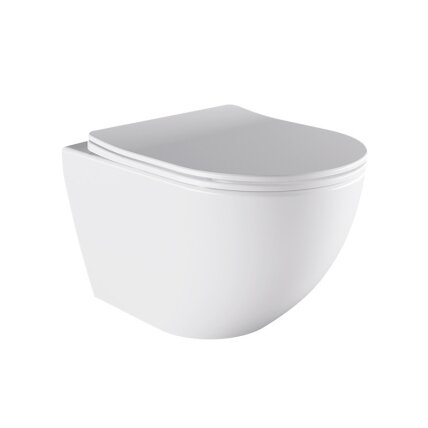 WC KOMPLEKTAS SU POTINKINIU RĖMU IR MYGTUKU WC438 3 WC KOMPLEKTAS SU POTINKINIU RĖMU IR MYGTUKU WC438 3