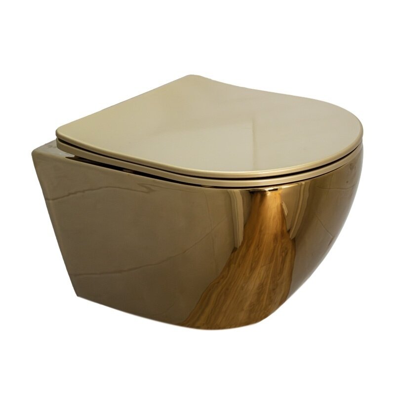 WC KOMPLEKTAS SU POTINKINIU RĖMU IR MYGTUKU WC421 3 WC KOMPLEKTAS SU POTINKINIU RĖMU IR MYGTUKU WC421 3