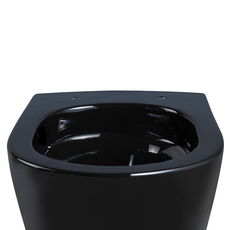 WC KOMPLEKTAS SU POTINKINIU RĖMU IR MYGTUKU WC492 6