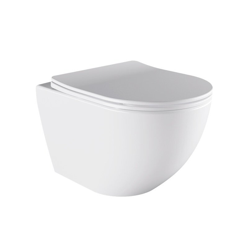 WC KOMPLEKTAS SU POTINKINIU RĖMU IR MYGTUKU WC438 3