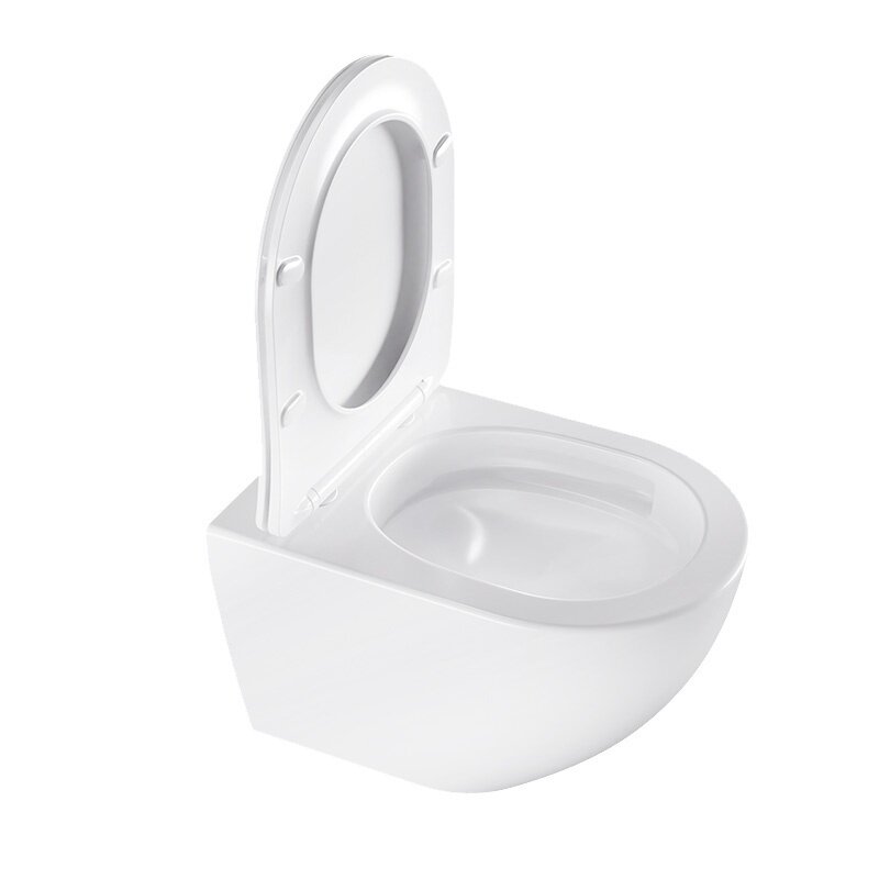 WC KOMPLEKTAS SU POTINKINIU RĖMU IR MYGTUKU WC438 5
