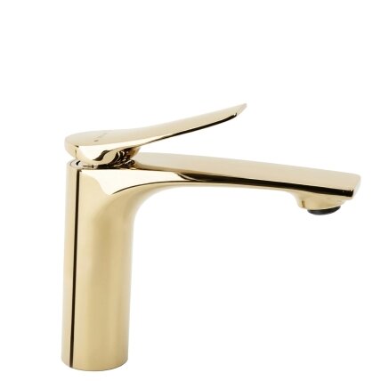 Praustuvo maišytuvas PREMIUM Vision Gold Low 10