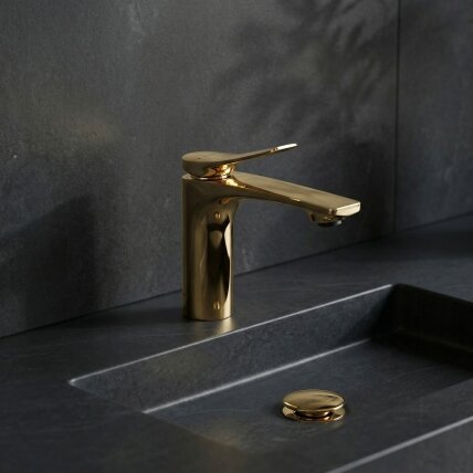 Praustuvo maišytuvas PREMIUM Vision Gold Low 5 Praustuvo maišytuvas PREMIUM Vision Gold Low 5