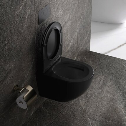 WC KOMPLEKTAS SU POTINKINIU RĖMU IR MYGTUKU WC464 8