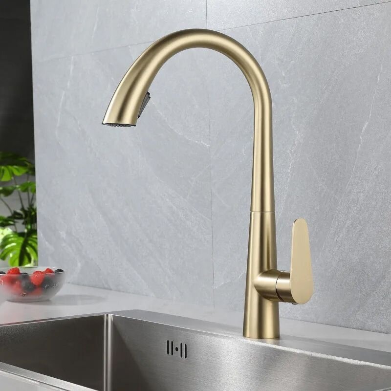 Ross virtuvės maišytuvas BRUSHED GOLD 7