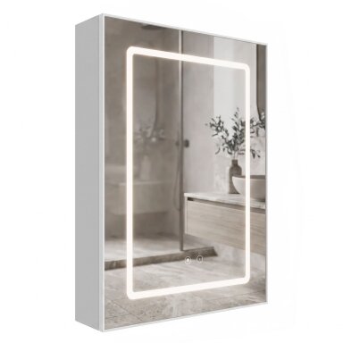 Veidrodinė spintelė su LED apšvietimu Zenit 70x50cm