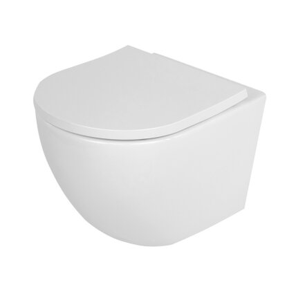 WC KOMPLEKTAS SU POTINKINIU RĖMU IR MYGTUKU WC436 6