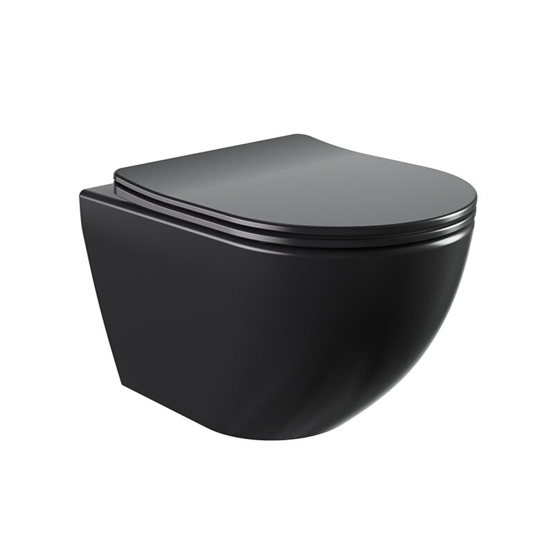 WC KOMPLEKTAS SU POTINKINIU RĖMU IR MYGTUKU WC461 3