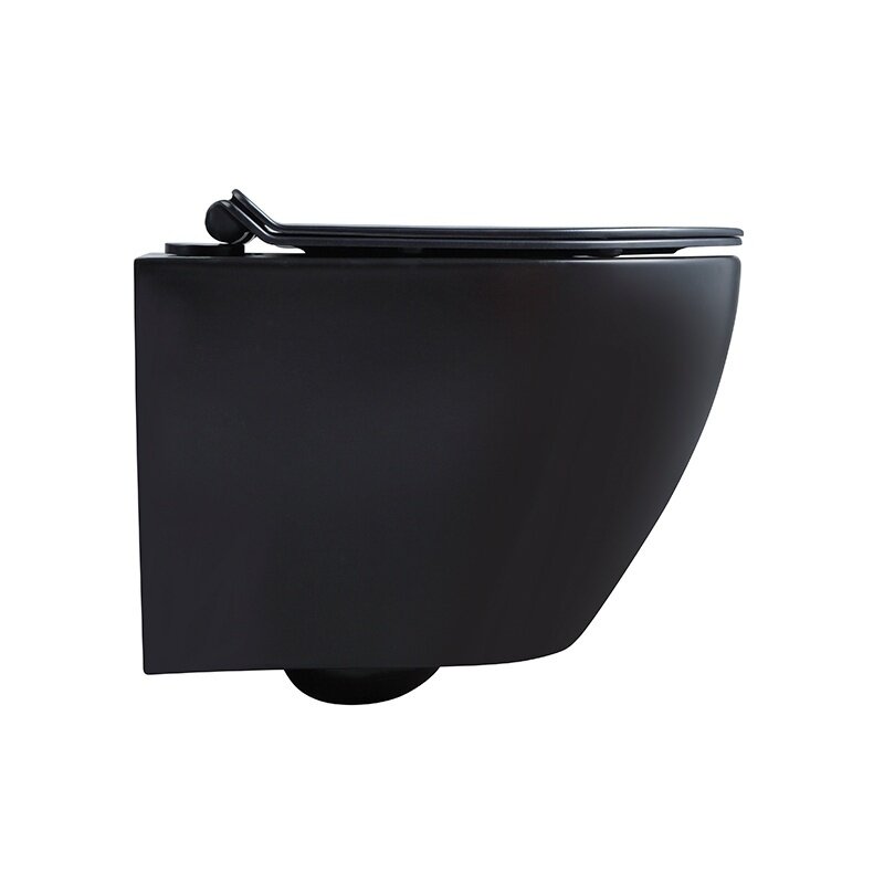 WC KOMPLEKTAS SU POTINKINIU RĖMU IR MYGTUKU WC484 5