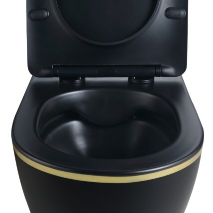WC KOMPLEKTAS SU POTINKINIU RĖMU IR MYGTUKU WC383 10 WC KOMPLEKTAS SU POTINKINIU RĖMU IR MYGTUKU WC383 10