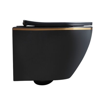 WC KOMPLEKTAS SU POTINKINIU RĖMU IR MYGTUKU WC381 5 WC KOMPLEKTAS SU POTINKINIU RĖMU IR MYGTUKU WC381 5