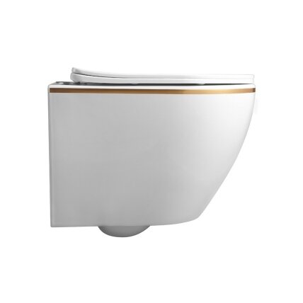 WC KOMPLEKTAS SU POTINKINIU RĖMU IR MYGTUKU WC376 5 WC KOMPLEKTAS SU POTINKINIU RĖMU IR MYGTUKU WC376 5
