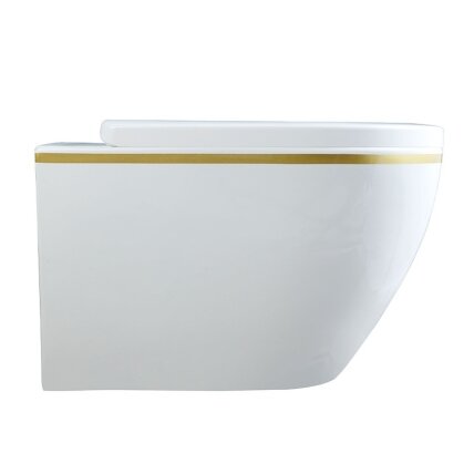 WC KOMPLEKTAS SU POTINKINIU RĖMU IR MYGTUKU WC100 2 WC KOMPLEKTAS SU POTINKINIU RĖMU IR MYGTUKU WC100 2