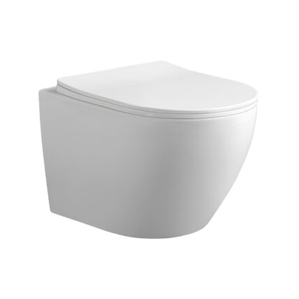 WC KOMPLEKTAS SU POTINKINIU RĖMU IR MYGTUKU WC36 1