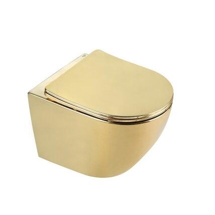 WC KOMPLEKTAS SU POTINKINIU RĖMU IR MYGTUKU WC318 3
