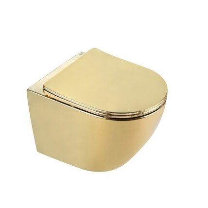 WC KOMPLEKTAS SU POTINKINIU RĖMU IR MYGTUKU WC315 3