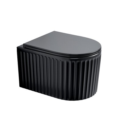 WC KOMPLEKTAS SU POTINKINIU RĖMU IR MYGTUKU WC316 9