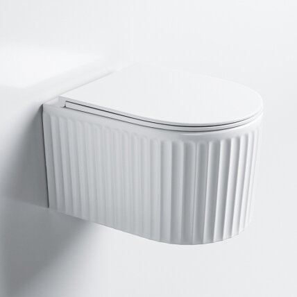WC KOMPLEKTAS SU POTINKINIU RĖMU IR MYGTUKU WC279 5 WC KOMPLEKTAS SU POTINKINIU RĖMU IR MYGTUKU WC279 5