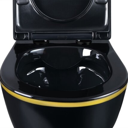 WC KOMPLEKTAS SU POTINKINIU RĖMU IR MYGTUKU WC259 5 WC KOMPLEKTAS SU POTINKINIU RĖMU IR MYGTUKU WC259 5