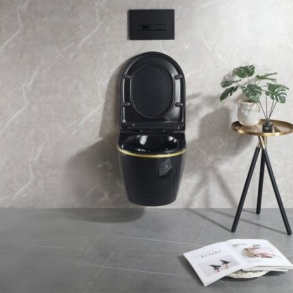 WC KOMPLEKTAS SU POTINKINIU RĖMU IR MYGTUKU WC260 6