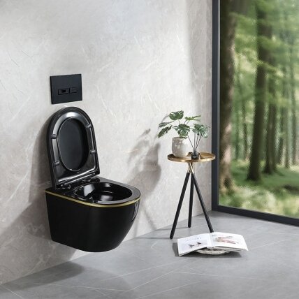 WC KOMPLEKTAS SU POTINKINIU RĖMU IR MYGTUKU WC258 7 WC KOMPLEKTAS SU POTINKINIU RĖMU IR MYGTUKU WC258 7
