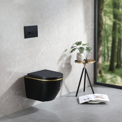 WC KOMPLEKTAS SU POTINKINIU RĖMU IR MYGTUKU WC258 4 WC KOMPLEKTAS SU POTINKINIU RĖMU IR MYGTUKU WC258 4