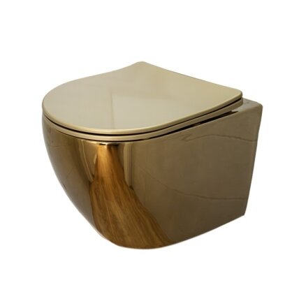 WC KOMPLEKTAS SU POTINKINIU RĖMU IR MYGTUKU WC133 11 WC KOMPLEKTAS SU POTINKINIU RĖMU IR MYGTUKU WC133 11