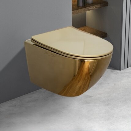 WC KOMPLEKTAS SU POTINKINIU RĖMU IR MYGTUKU WC131 4 WC KOMPLEKTAS SU POTINKINIU RĖMU IR MYGTUKU WC131 4