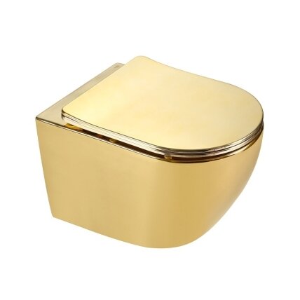 WC KOMPLEKTAS SU POTINKINIU RĖMU IR MYGTUKU WC292 3