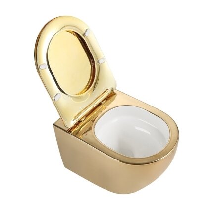 WC KOMPLEKTAS SU POTINKINIU RĖMU IR MYGTUKU WC293 5