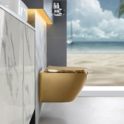 WC KOMPLEKTAS SU POTINKINIU RĖMU IR MYGTUKU WC293 8 WC KOMPLEKTAS SU POTINKINIU RĖMU IR MYGTUKU WC293 8