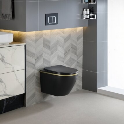 WC KOMPLEKTAS SU POTINKINIU RĖMU IR MYGTUKU WC118 4 WC KOMPLEKTAS SU POTINKINIU RĖMU IR MYGTUKU WC118 4