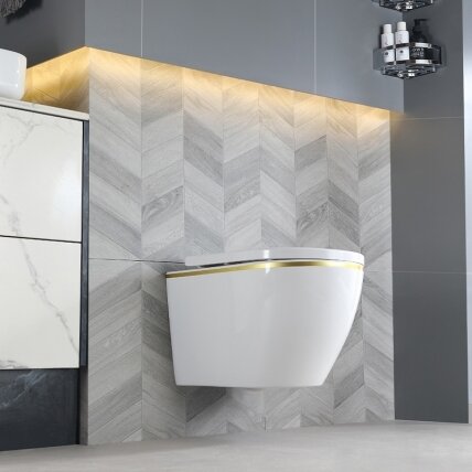 WC KOMPLEKTAS SU POTINKINIU RĖMU IR MYGTUKU WC240 8 WC KOMPLEKTAS SU POTINKINIU RĖMU IR MYGTUKU WC240 8