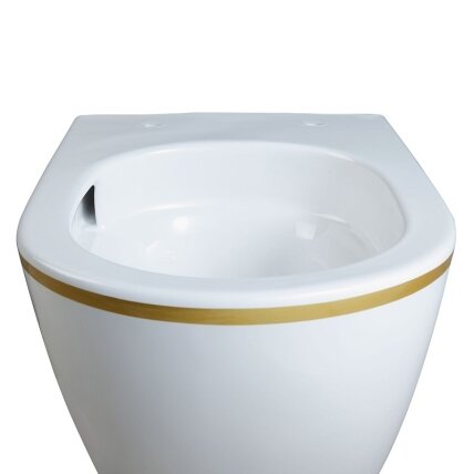WC KOMPLEKTAS SU POTINKINIU RĖMU IR MYGTUKU WC238 9 WC KOMPLEKTAS SU POTINKINIU RĖMU IR MYGTUKU WC238 9