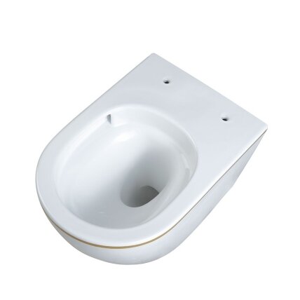 WC KOMPLEKTAS SU POTINKINIU RĖMU IR MYGTUKU WC243 9